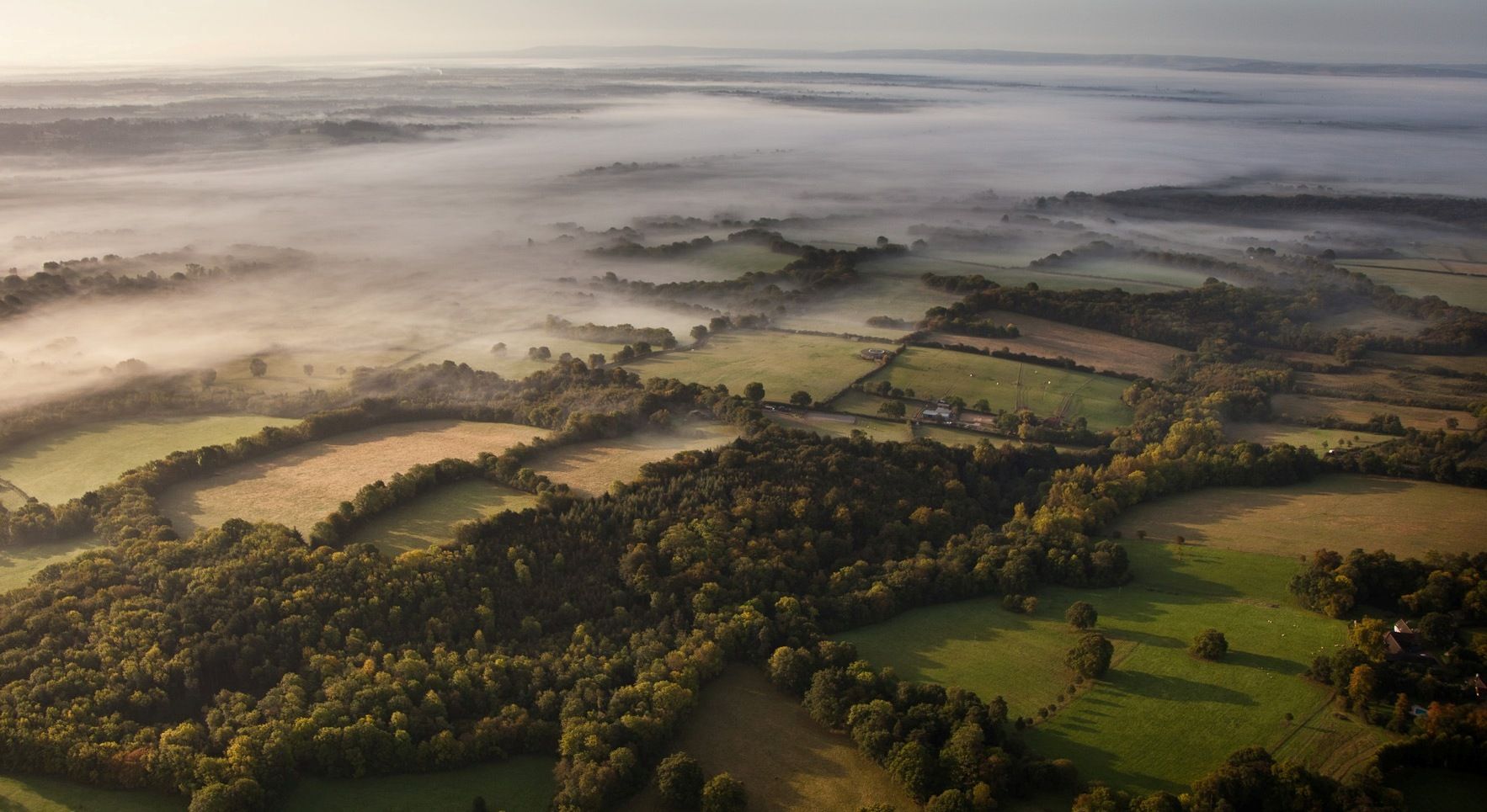 How Aerial Shots Can Help You Plan Better For Your Landscape Makeover